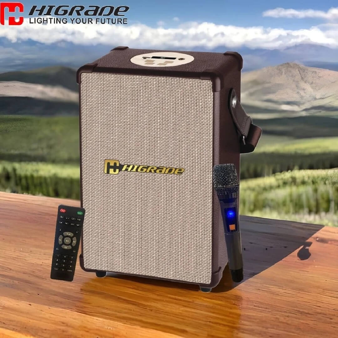 Higrade Wireless Boombox Class - D Amplifier